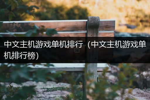 中文主机游戏单机排行（中文主机游戏单机排行榜）