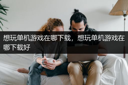 想玩单机游戏在哪下载，想玩单机游戏在哪下载好
