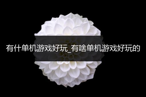 有什单机游戏好玩_有啥单机游戏好玩的