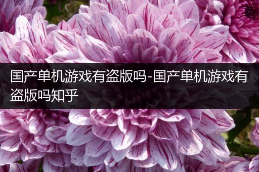 国产单机游戏有盗版吗-国产单机游戏有盗版吗知乎
