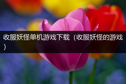 收服妖怪单机游戏下载（收服妖怪的游戏）