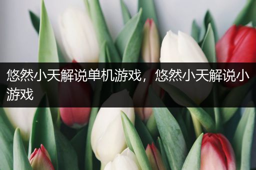 悠然小天解说单机游戏，悠然小天解说小游戏