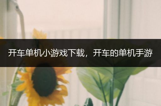 开车单机小游戏下载，开车的单机手游