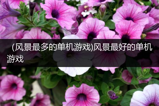 （风景最多的单机游戏)风景最好的单机游戏