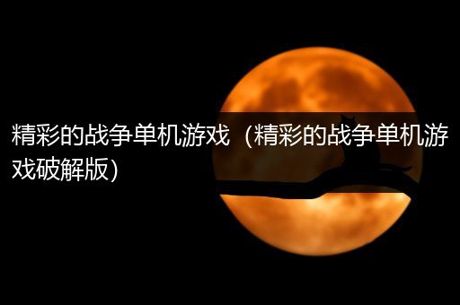 精彩的战争单机游戏（精彩的战争单机游戏破解版）