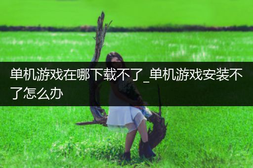 单机游戏在哪下载不了_单机游戏安装不了怎么办