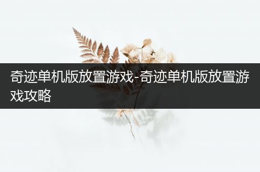 奇迹单机版放置游戏-奇迹单机版放置游戏攻略