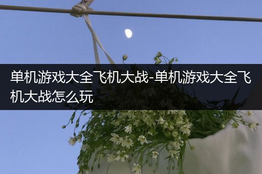 单机游戏大全飞机大战-单机游戏大全飞机大战怎么玩