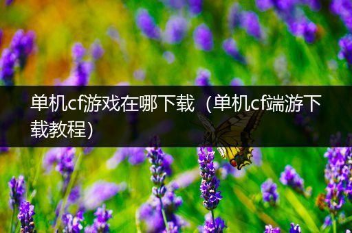 单机cf游戏在哪下载（单机cf端游下载教程）