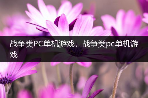 战争类PC单机游戏，战争类pc单机游戏