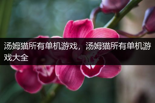 汤姆猫所有单机游戏，汤姆猫所有单机游戏大全