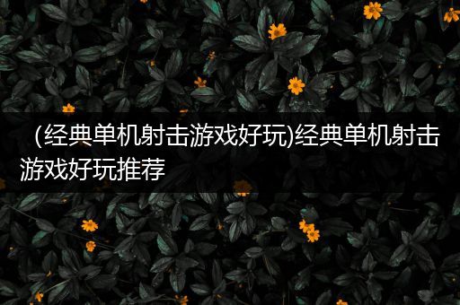 （经典单机射击游戏好玩)经典单机射击游戏好玩推荐
