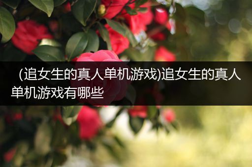 （追女生的真人单机游戏)追女生的真人单机游戏有哪些