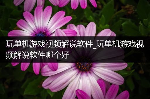 玩单机游戏视频解说软件_玩单机游戏视频解说软件哪个好