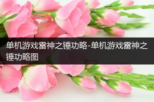 单机游戏雷神之锤功略-单机游戏雷神之锤功略图