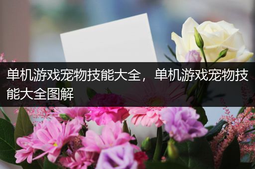 单机游戏宠物技能大全，单机游戏宠物技能大全图解