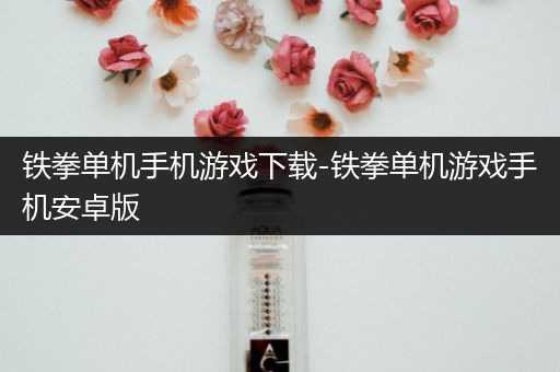 铁拳单机手机游戏下载-铁拳单机游戏手机安卓版