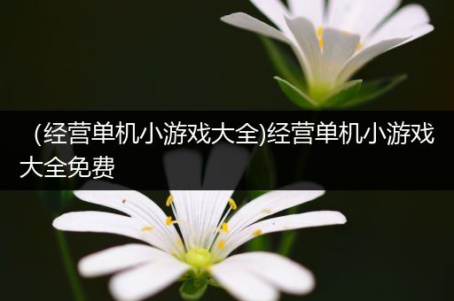 （经营单机小游戏大全)经营单机小游戏大全免费