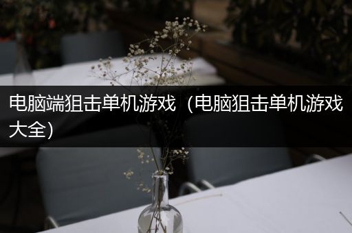 电脑端狙击单机游戏（电脑狙击单机游戏大全）