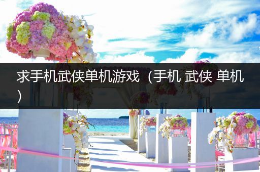 求手机武侠单机游戏（手机 武侠 单机）