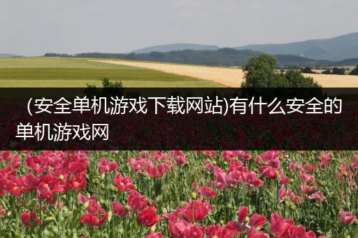 （安全单机游戏下载网站)有什么安全的单机游戏网