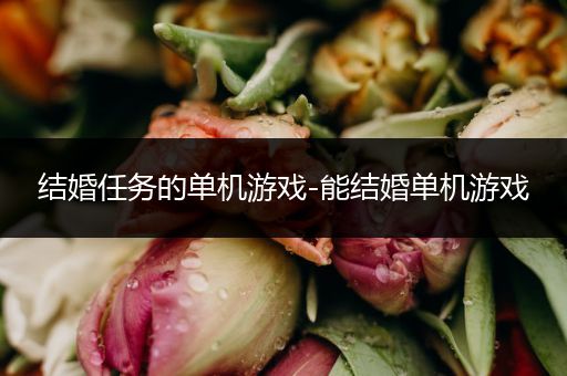 结婚任务的单机游戏-能结婚单机游戏