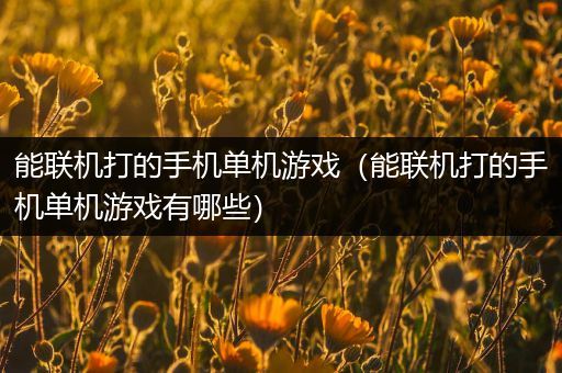 能联机打的手机单机游戏（能联机打的手机单机游戏有哪些）