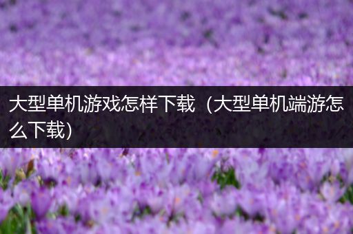 大型单机游戏怎样下载（大型单机端游怎么下载）