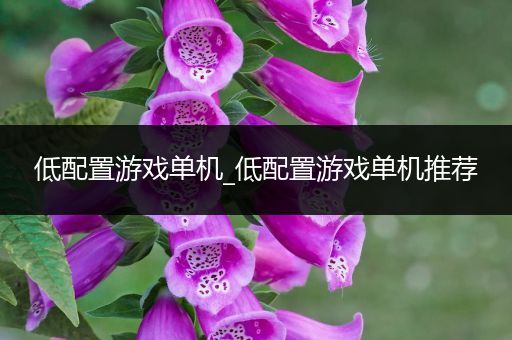 低配置游戏单机_低配置游戏单机推荐