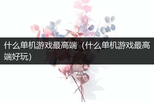什么单机游戏最高端（什么单机游戏最高端好玩）