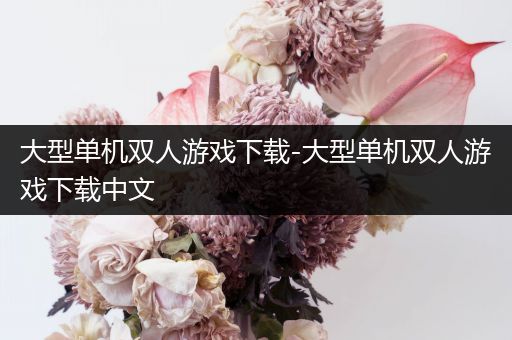 大型单机双人游戏下载-大型单机双人游戏下载中文