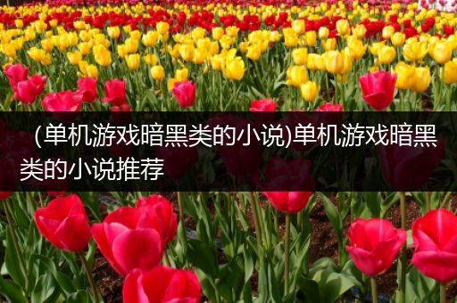 （单机游戏暗黑类的小说)单机游戏暗黑类的小说推荐