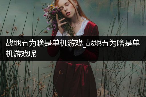 战地五为啥是单机游戏_战地五为啥是单机游戏呢