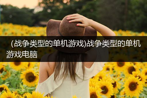 （战争类型的单机游戏)战争类型的单机游戏电脑