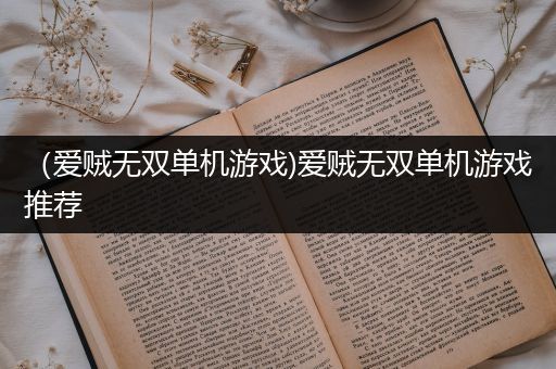 （爱贼无双单机游戏)爱贼无双单机游戏推荐