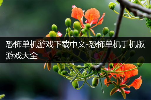 恐怖单机游戏下载中文-恐怖单机手机版游戏大全