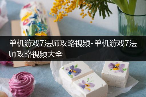 单机游戏7法师攻略视频-单机游戏7法师攻略视频大全