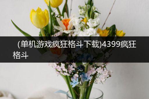 （单机游戏疯狂格斗下载)4399疯狂格斗