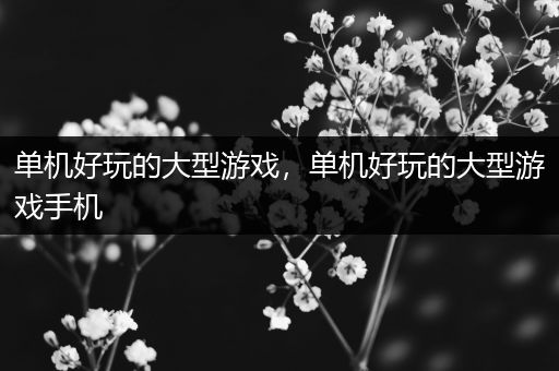 单机好玩的大型游戏，单机好玩的大型游戏手机