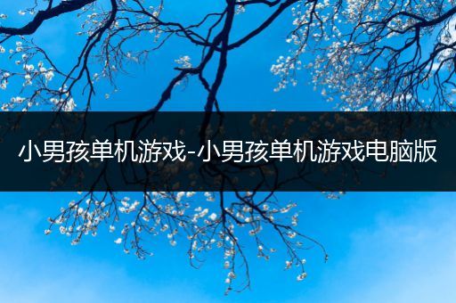 小男孩单机游戏-小男孩单机游戏电脑版