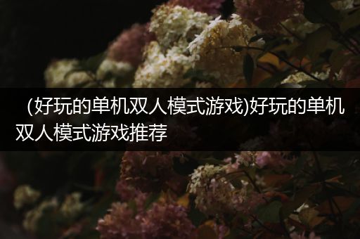 （好玩的单机双人模式游戏)好玩的单机双人模式游戏推荐