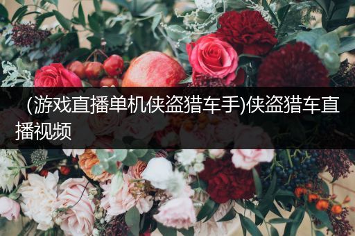 （游戏直播单机侠盗猎车手)侠盗猎车直播视频