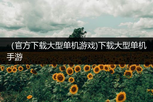 （官方下载大型单机游戏)下载大型单机手游