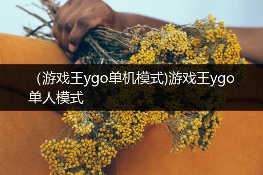 （游戏王ygo单机模式)游戏王ygo单人模式