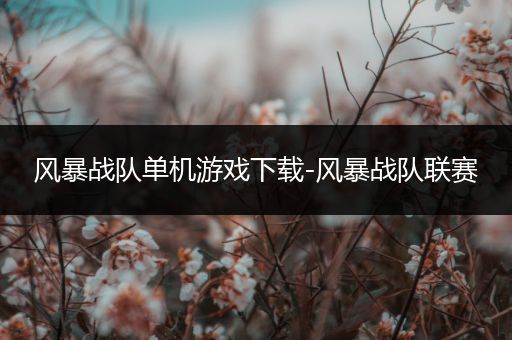 风暴战队单机游戏下载-风暴战队联赛