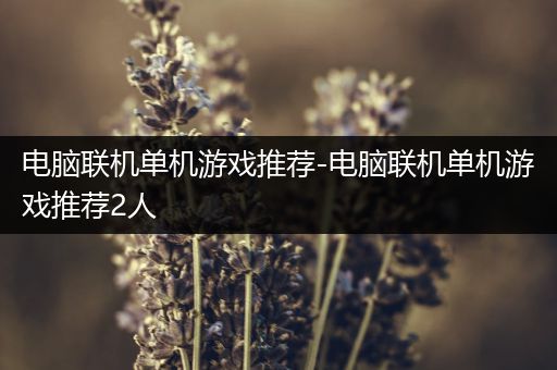 电脑联机单机游戏推荐-电脑联机单机游戏推荐2人