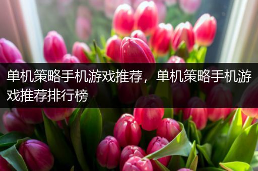 单机策略手机游戏推荐，单机策略手机游戏推荐排行榜
