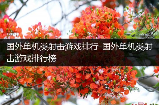 国外单机类射击游戏排行-国外单机类射击游戏排行榜