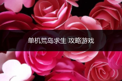单机荒岛求生 攻略游戏