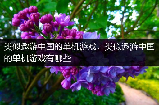 类似遨游中国的单机游戏，类似遨游中国的单机游戏有哪些